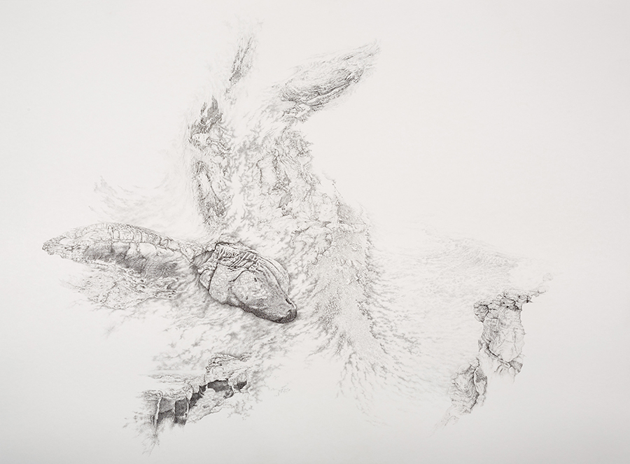 Northumbrian (drawing)